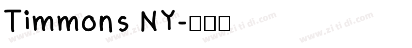 Timmons NY字体转换